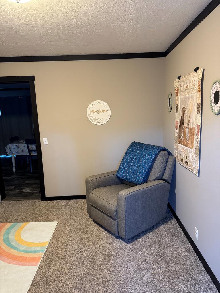 35 Bergan Moore Road Murphy, NC 28906 - Photo 15 of 18 a living room with furniture and a couch