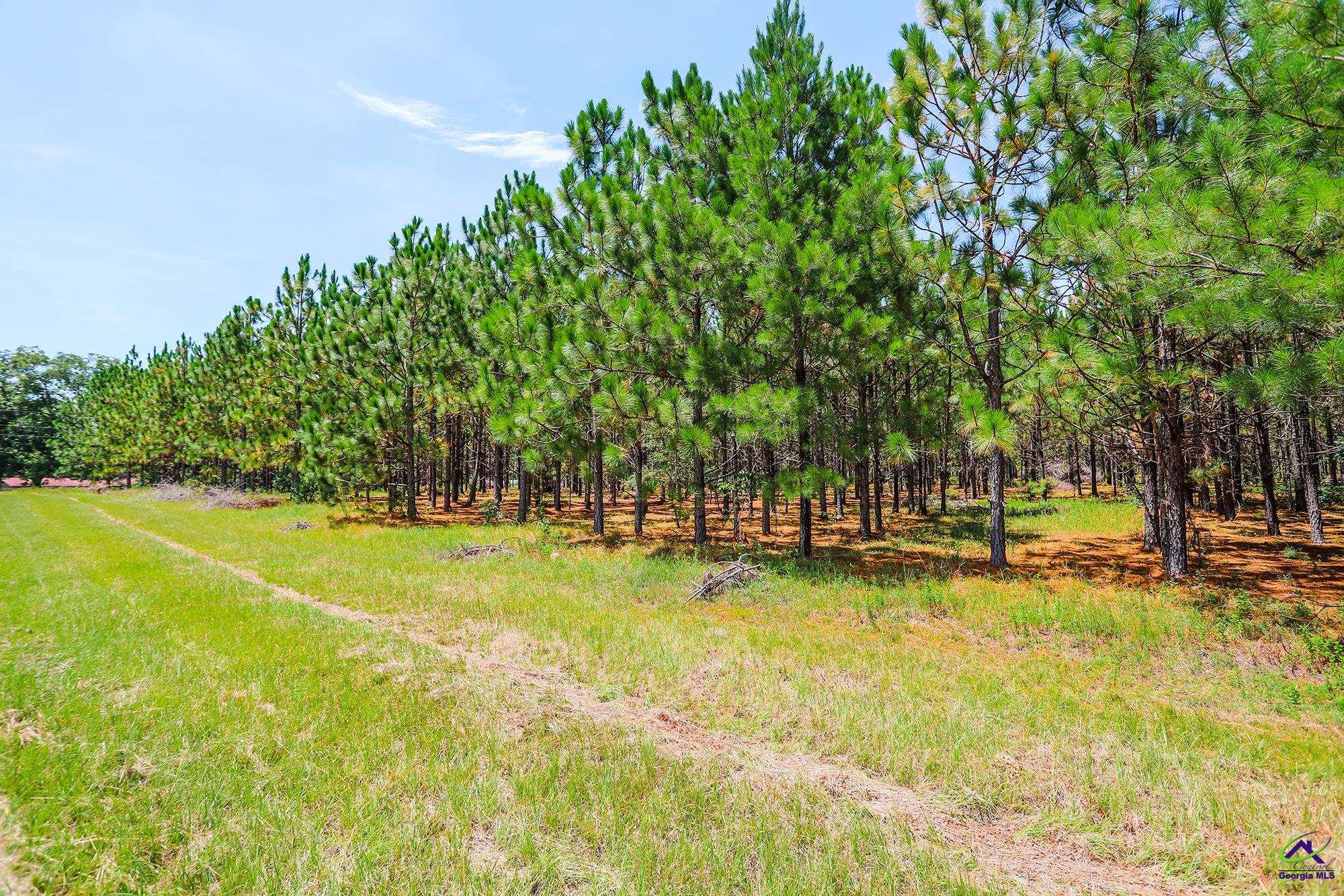 Roddy Road Eastman, GA 31023 - Photo 5 of 14