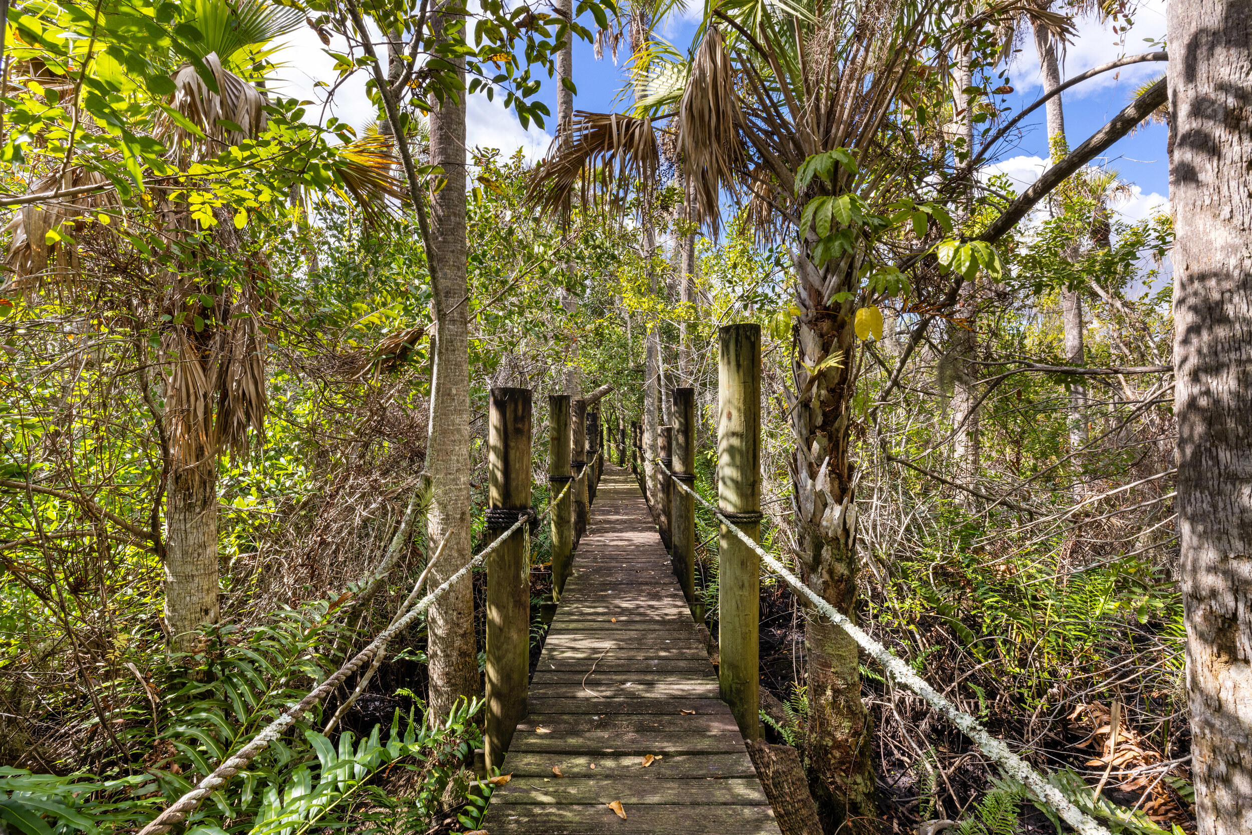 535 Southwest Linden Street Stuart, FL 34997 - Photo 51 of 68 39_et6a4240