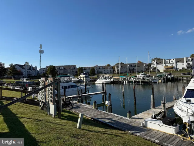 a view of a lake with boats and trees
