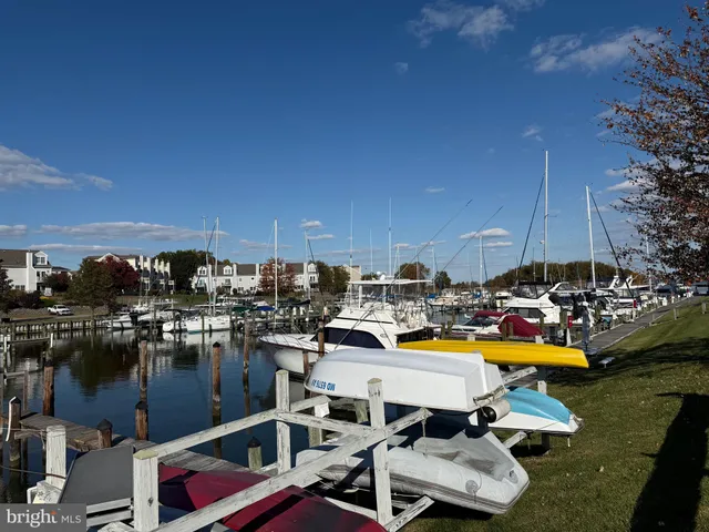 a view of a lake with boats and trees