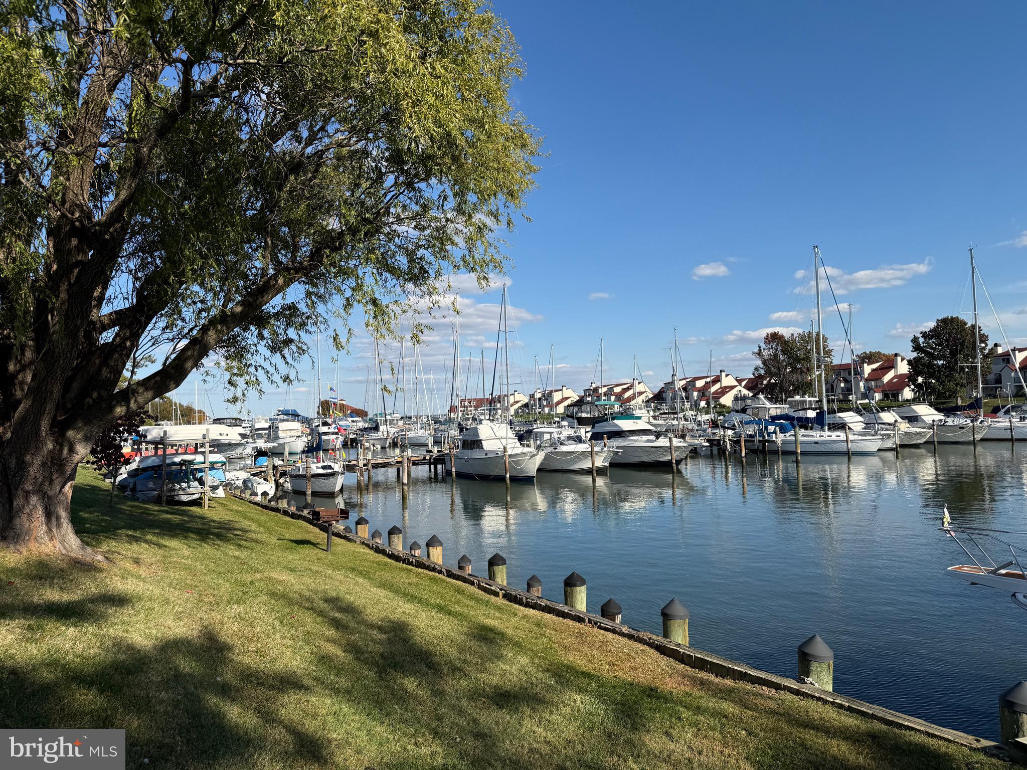 807 Auckland Way Chester, MD 21619 - Photo 41 of 42 a view of a lake with boats and trees