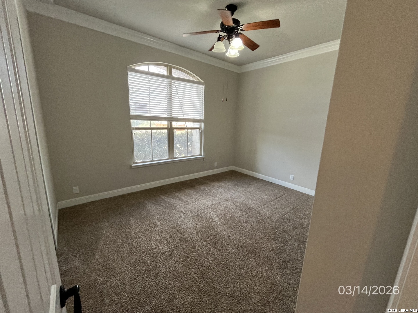 520 Albarella Cibolo, TX 78108 - Photo 4 of 19