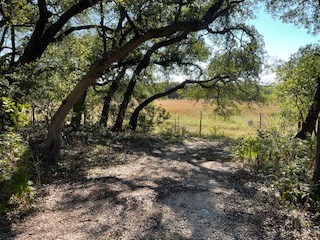 238 Narrows Road, Unit 83 Blanco, TX 78606 - Photo 10 of 30 Gallery Image 10