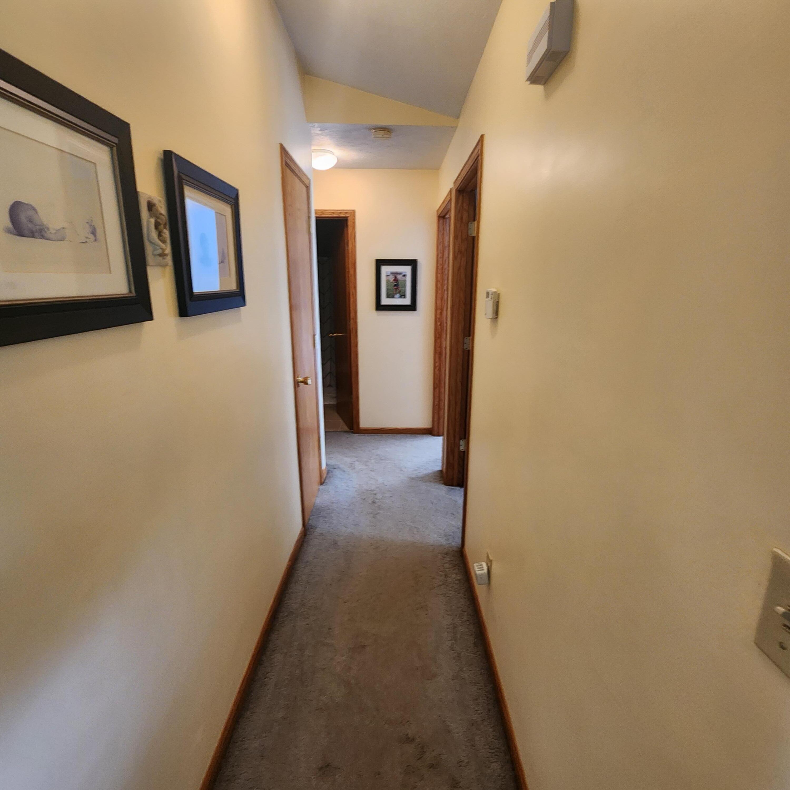 10396 Peck Lake Road Lowell, MI 49331 - Photo 47 of 70 20230914_153524