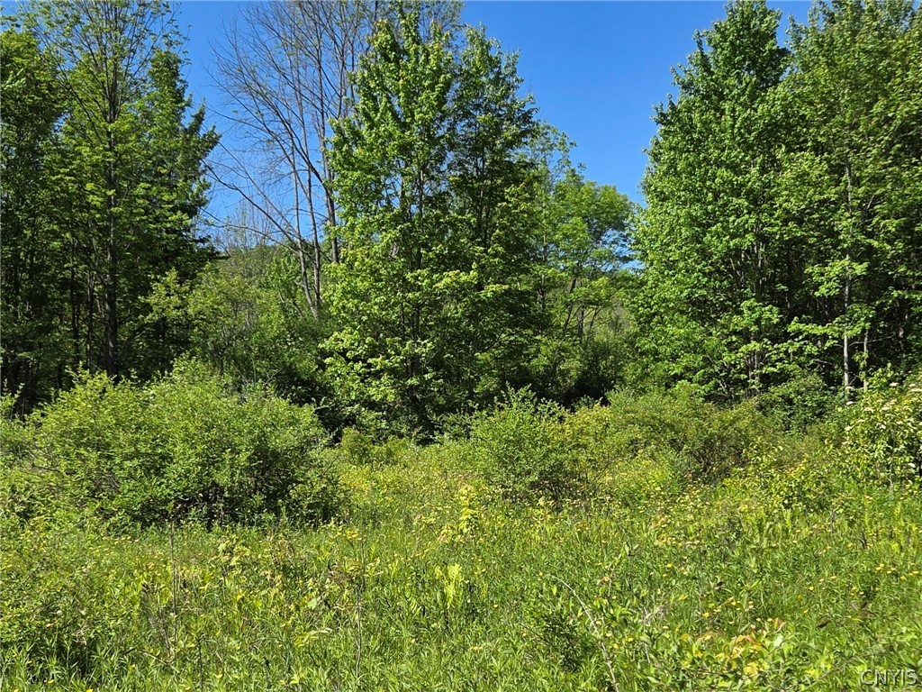 446 Nys Route Cuba, NY 14727 - Photo 22 of 47