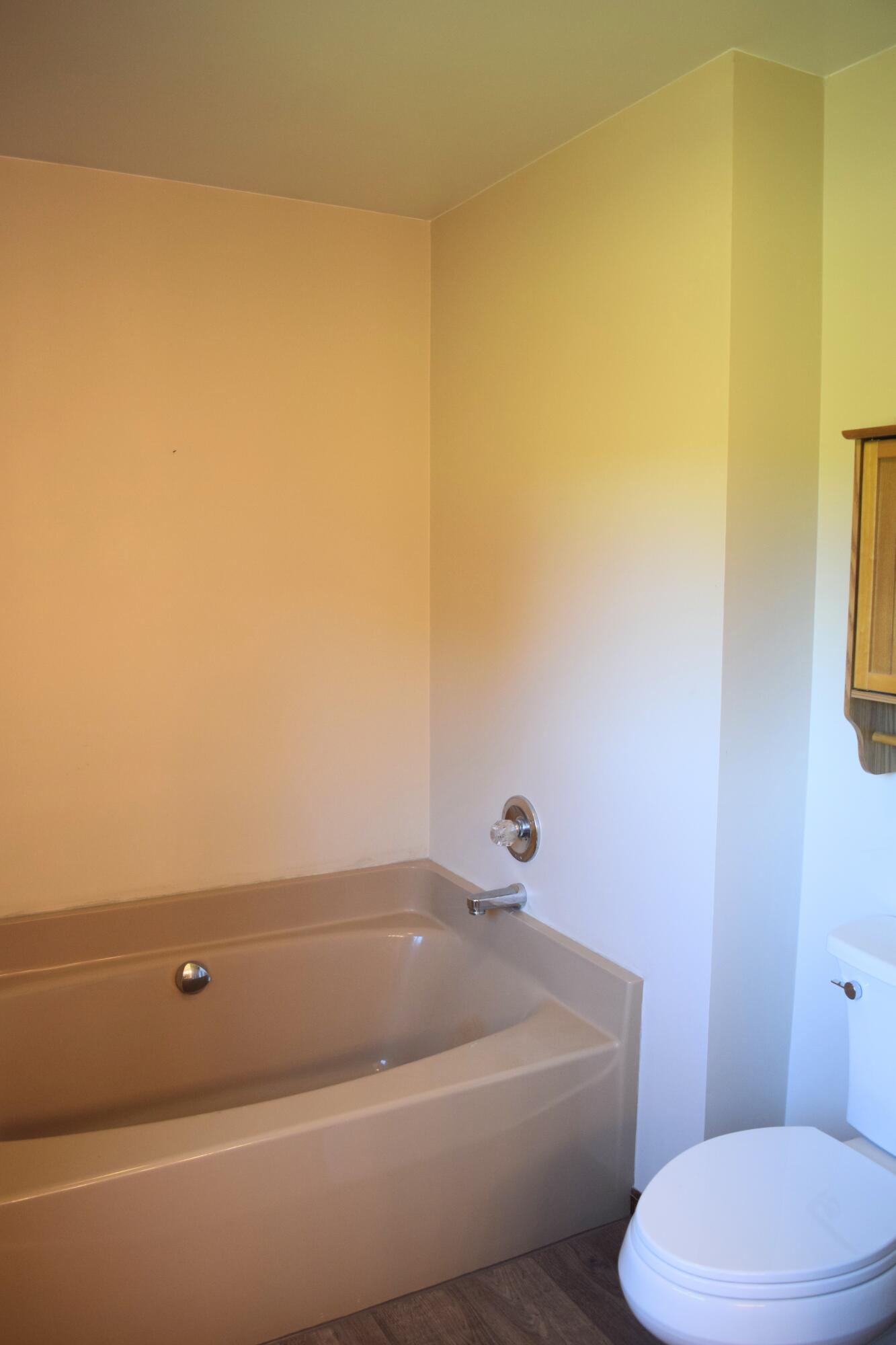 252 Adolph Shores Road Coldwater, MI 49036 - Photo 25 of 33 DSC_0044
