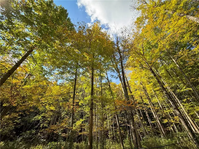 $1,195,000 | 7592 North Road, Victor, NY 14564