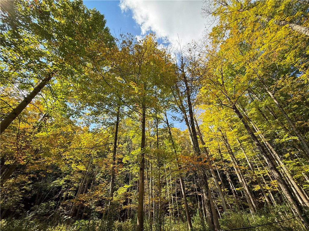 7592 North Road Victor, NY 14564 - Photo 42 of 50