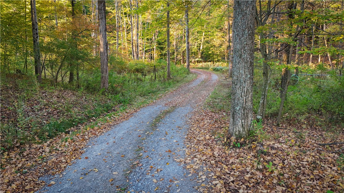 7592 North Road Victor, NY 14564 - Photo 43 of 50