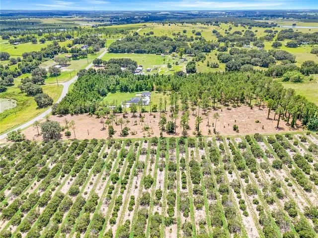 a view of a yard with yellow plants