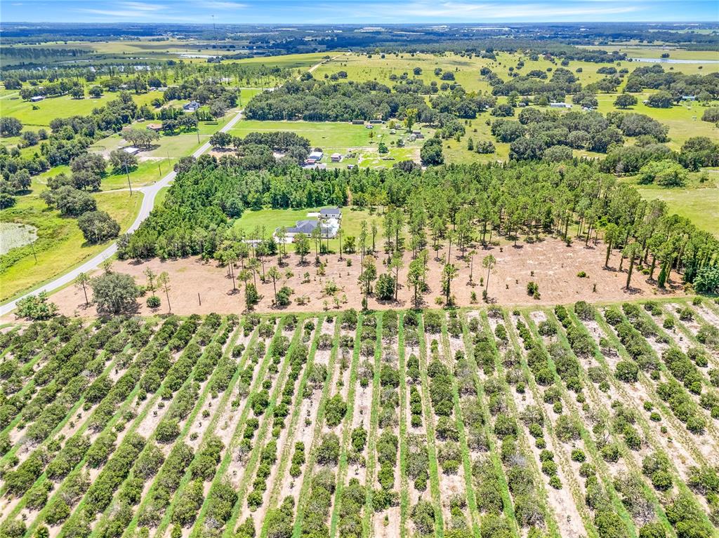 South Dewey Robbins Road Howey-in-the-Hills, FL 34737 - Photo 2 of 9 a view of a yard with yellow plants