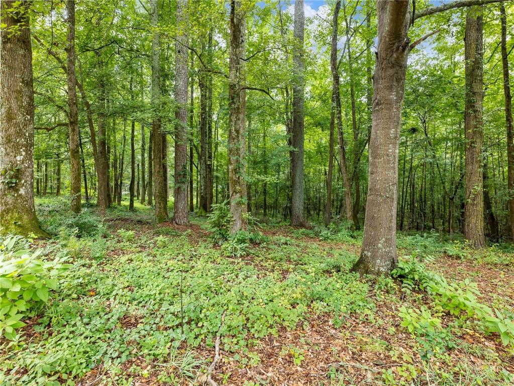 1334 Criswell Road Southeast Monroe, GA 30655 - Photo 33 of 45