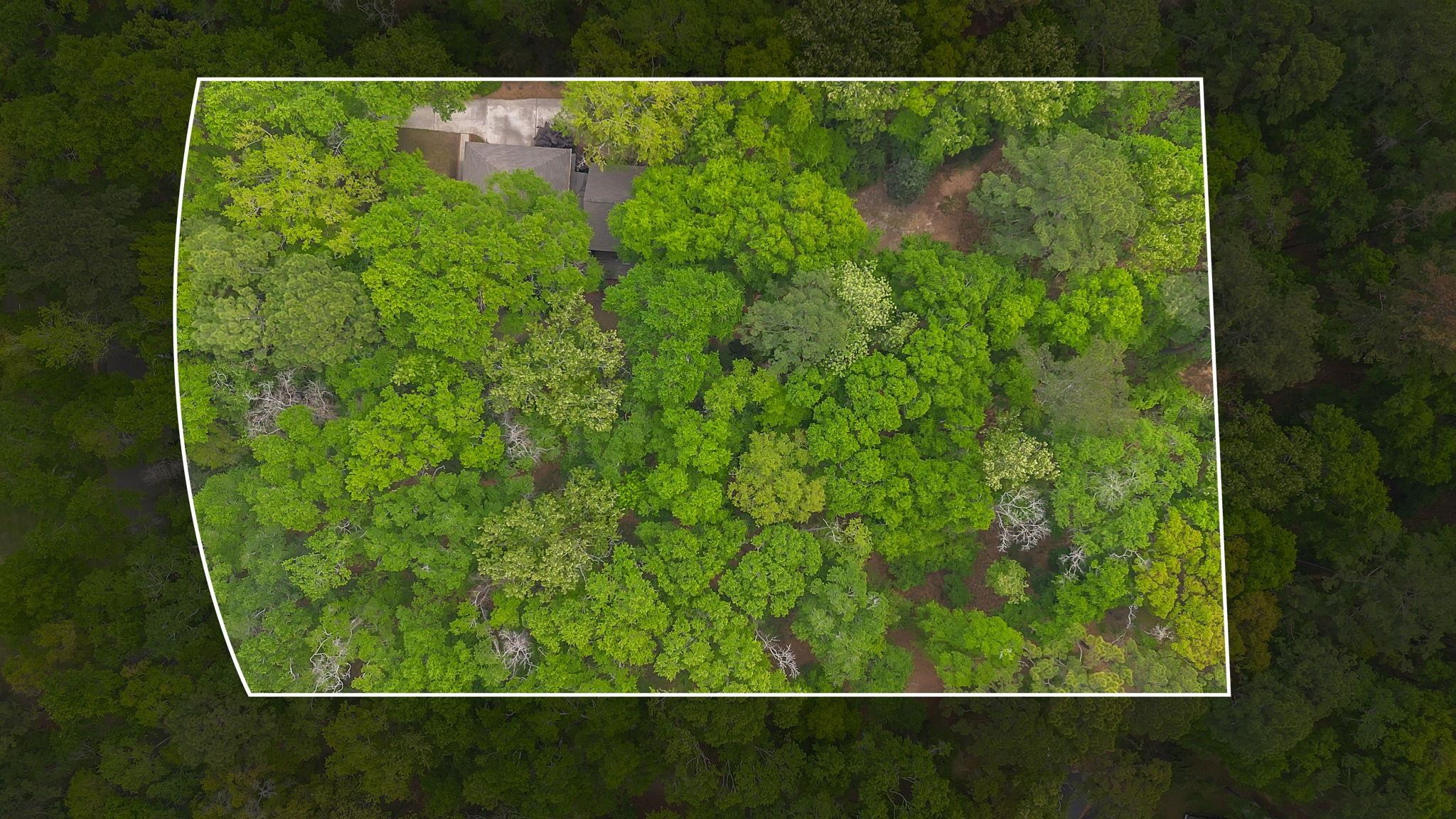 2313 Haverhill Road Tallahassee, FL 32312 - Photo 45 of 47