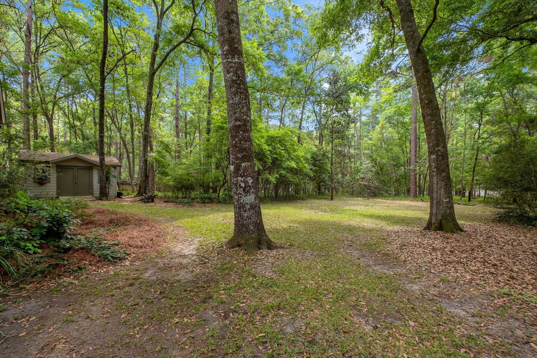 2313 Haverhill Road Tallahassee, FL 32312 - Photo 5 of 47