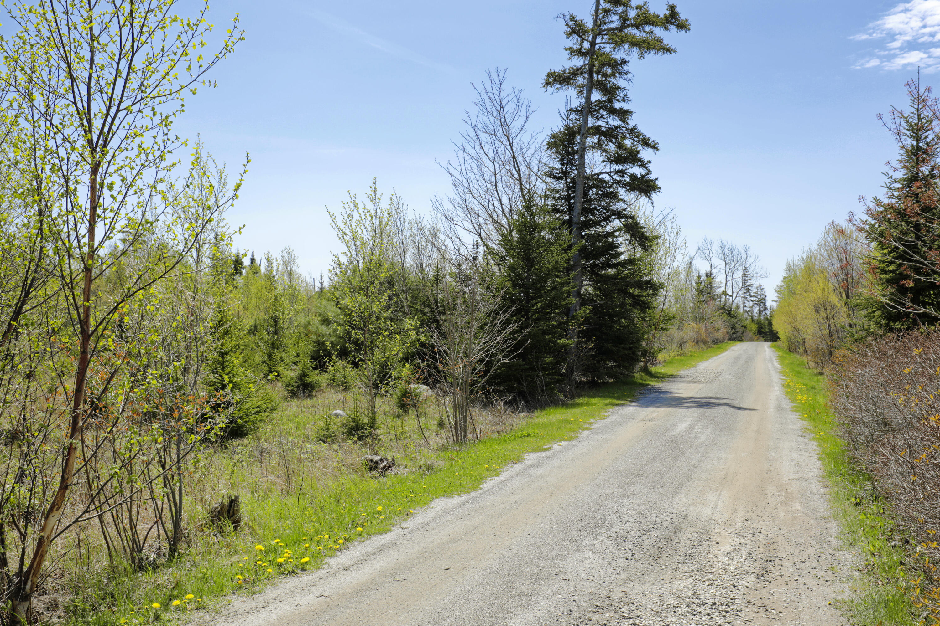 Lot 0 Clover Road New Harbor, ME 04554 - Photo 8 of 14 06-33CliffRd-lot-AT