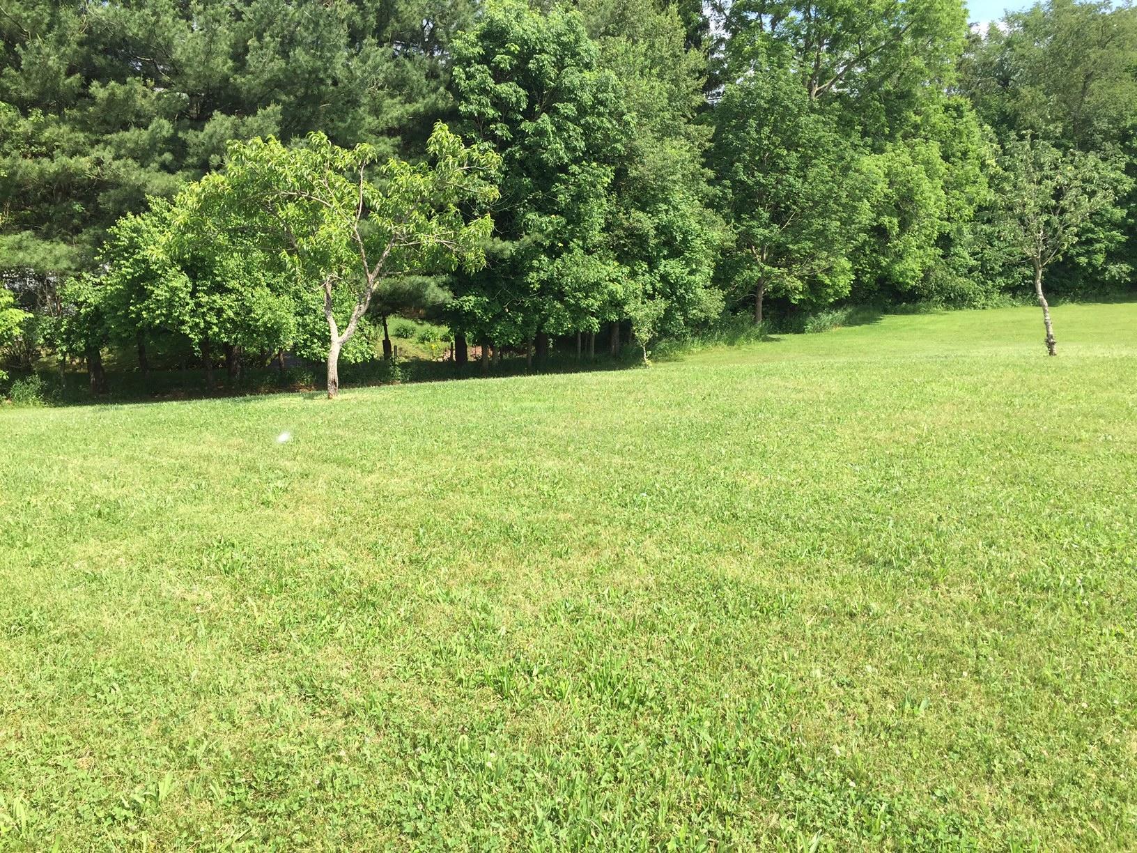 0 Coonpath Road Northwest Lancaster, OH 43130 - Photo 3 of 3