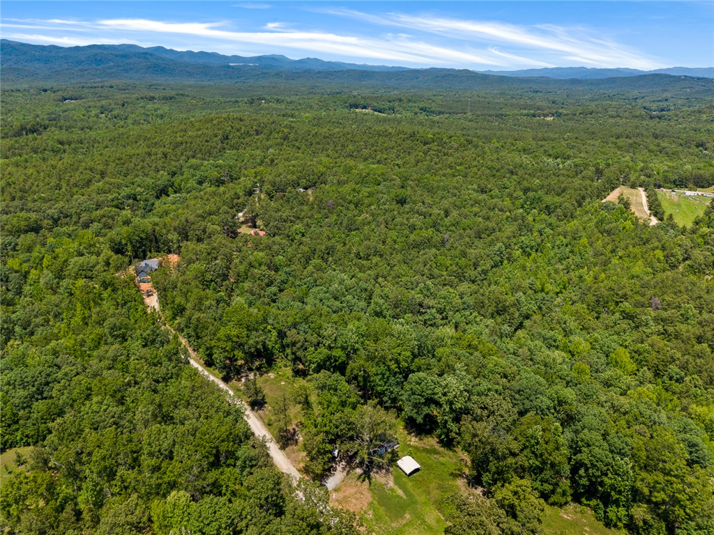 0 Pine Mountain Road Tamassee, SC 29686 - Photo 12 of 15