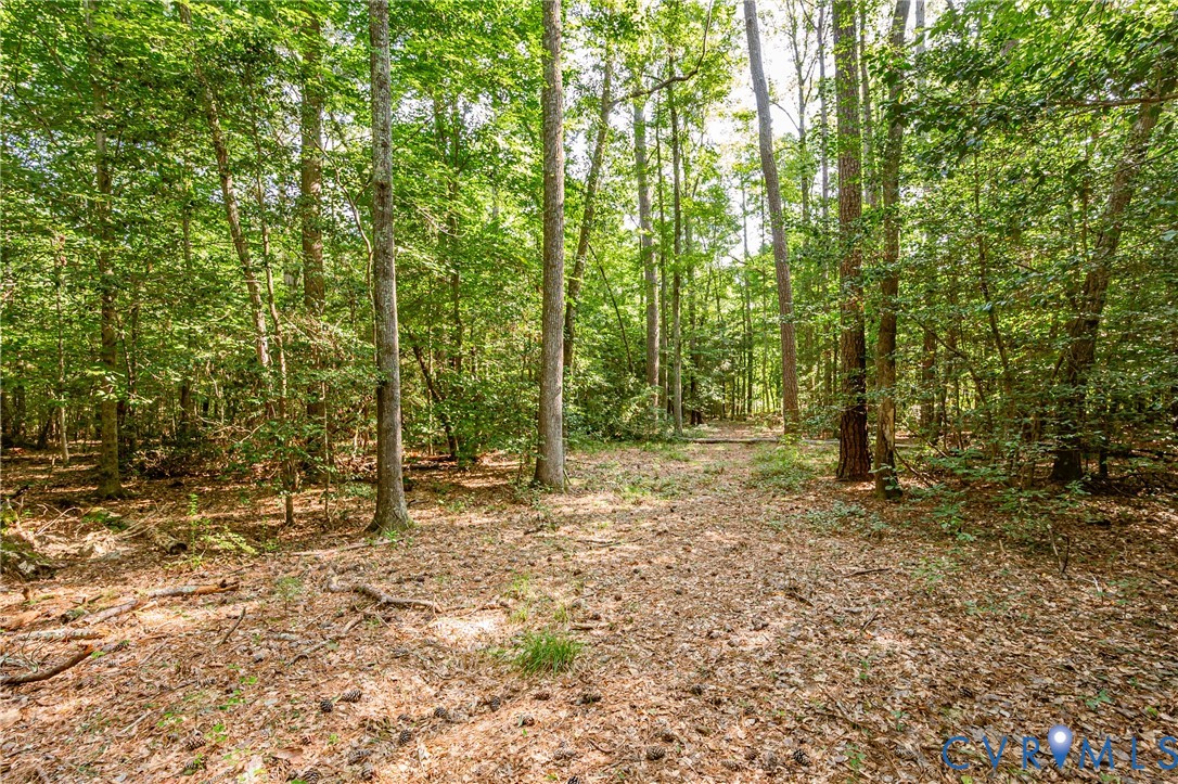 0 Barnetts Road Providence Forge, VA 23140 - Photo 25 of 37 Wooded lot featuring mature trees and a natural gr