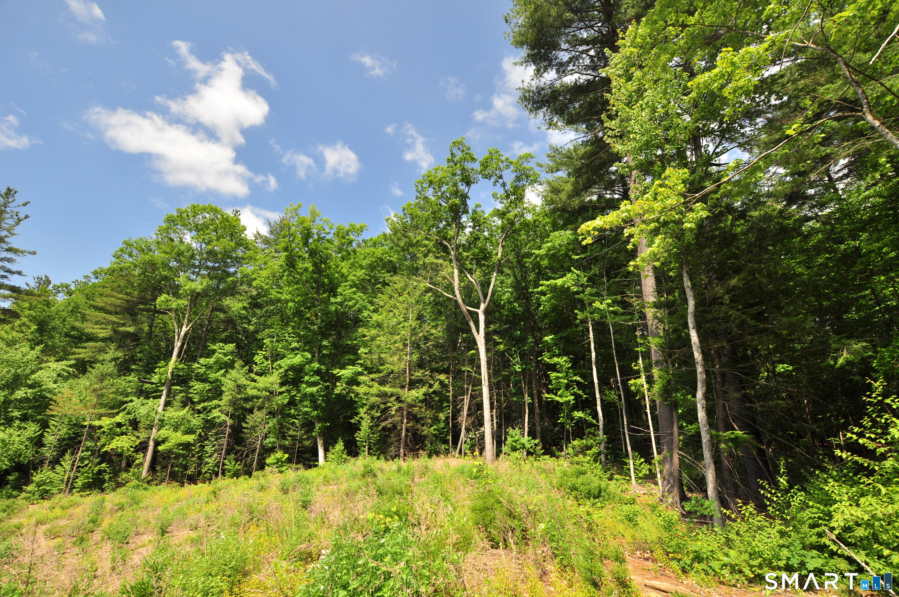 24 Peck Orchard Road Granby, CT 06060 - Photo 11 of 35