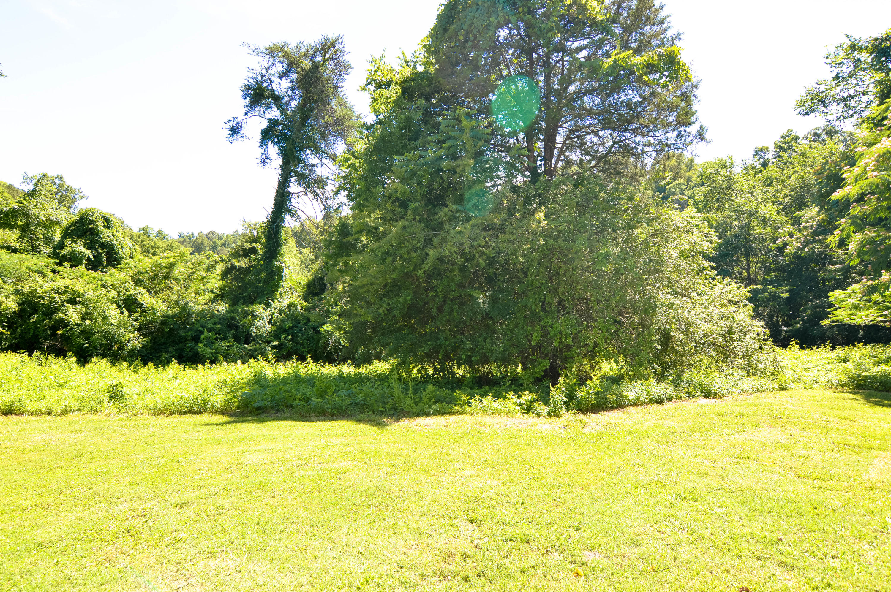 706 Emory Heights Road Harriman, TN 37748 - Photo 4 of 35 DSC_0242