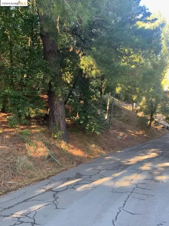 a view of a yard with a tree