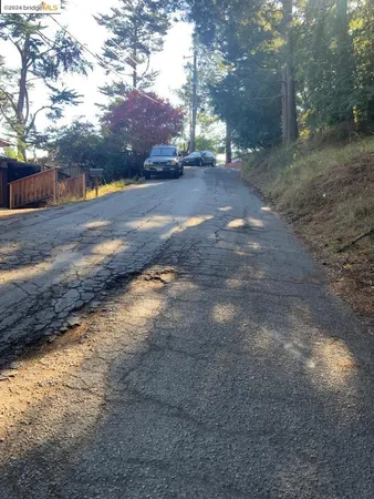 a view of road with large trees