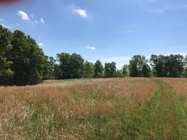 Red House Road, Unit 3 Appomattox, VA 24522 - Photo 3 of 4 Gallery Image 3