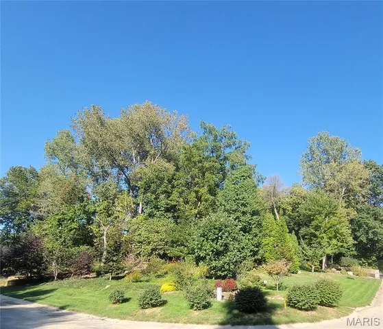 $1,100,000 | 1003 Berry Lane, Edwardsville, IL 62025