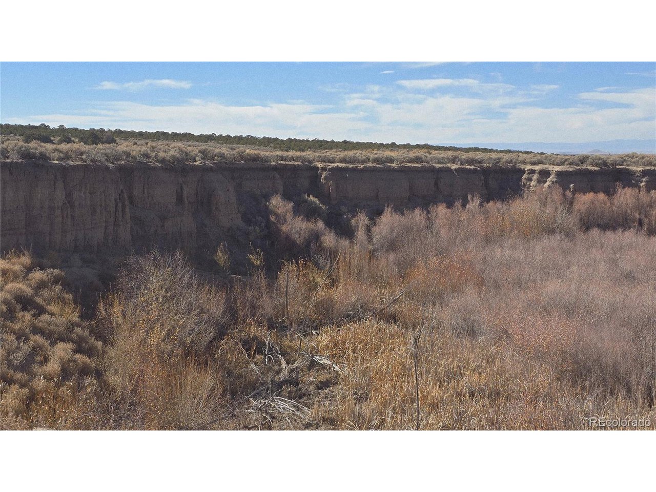 1768 Bateman Road Fort Garland, CO 81133 - Photo 14 of 30 a black and white photo of a lake