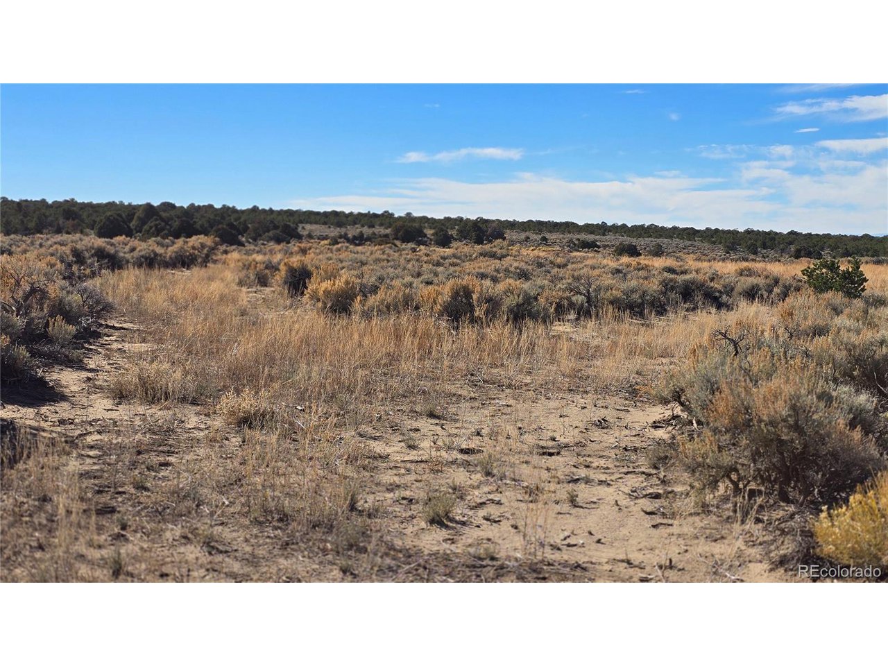 1768 Bateman Road Fort Garland, CO 81133 - Photo 15 of 30 a black and white photo of a city