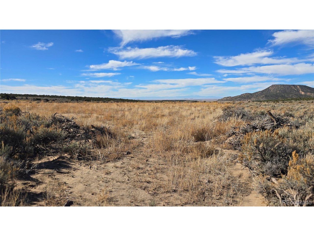 1768 Bateman Road Fort Garland, CO 81133 - Photo 17 of 30 a view of a city