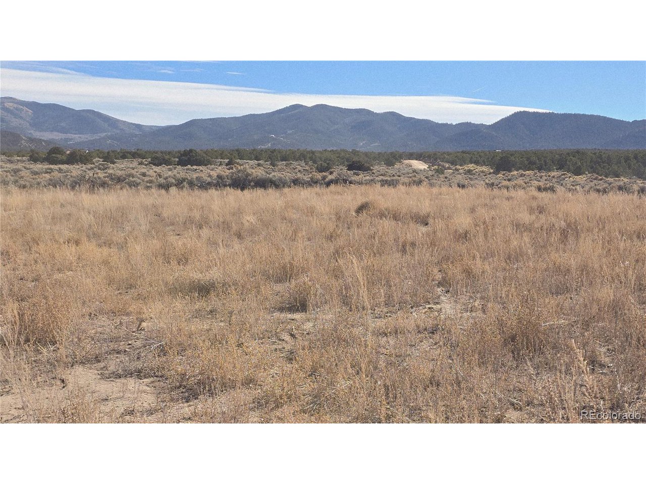 1768 Bateman Road Fort Garland, CO 81133 - Photo 19 of 30 a black and white photo of a lake