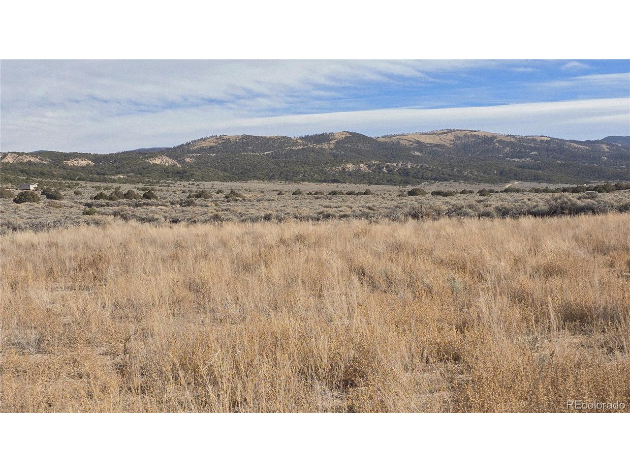 1768 Bateman Road Fort Garland, CO 81133 - Photo 21 of 30 a black and white photo of a field
