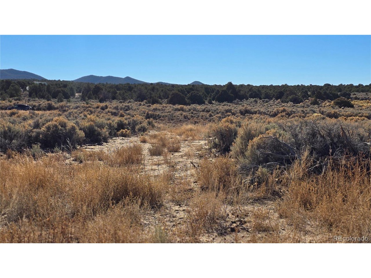 1768 Bateman Road Fort Garland, CO 81133 - Photo 25 of 30 a open area with mountains in the background
