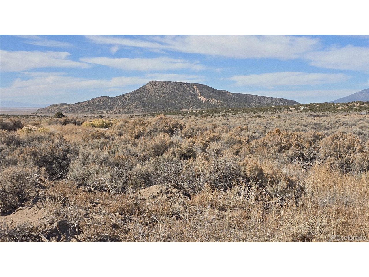 1768 Bateman Road Fort Garland, CO 81133 - Photo 29 of 30 a black and white photo of a forest