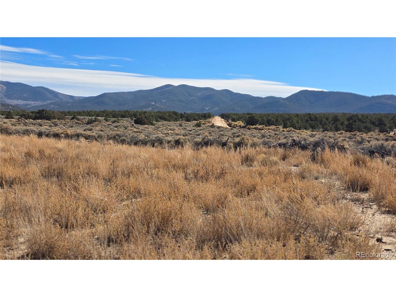 1768 Bateman Road Fort Garland, CO 81133 - Photo 4 of 30 a black and white photo of a field