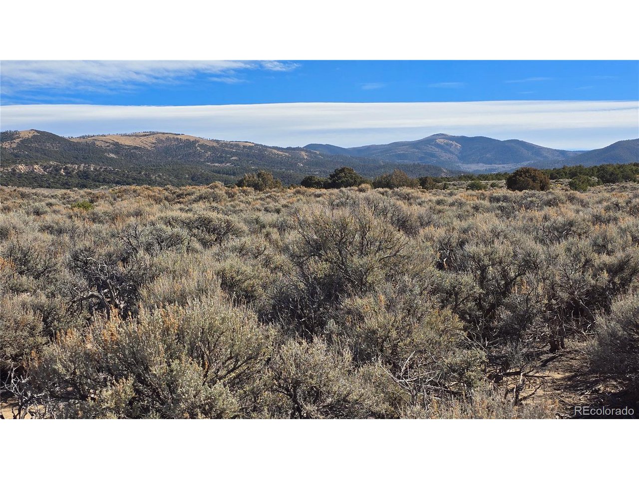 1768 Bateman Road Fort Garland, CO 81133 - Photo 6 of 30 a open area with mountains in the back