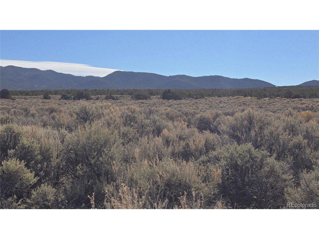 1768 Bateman Road Fort Garland, CO 81133 - Photo 8 of 30 a black and white photo of a field