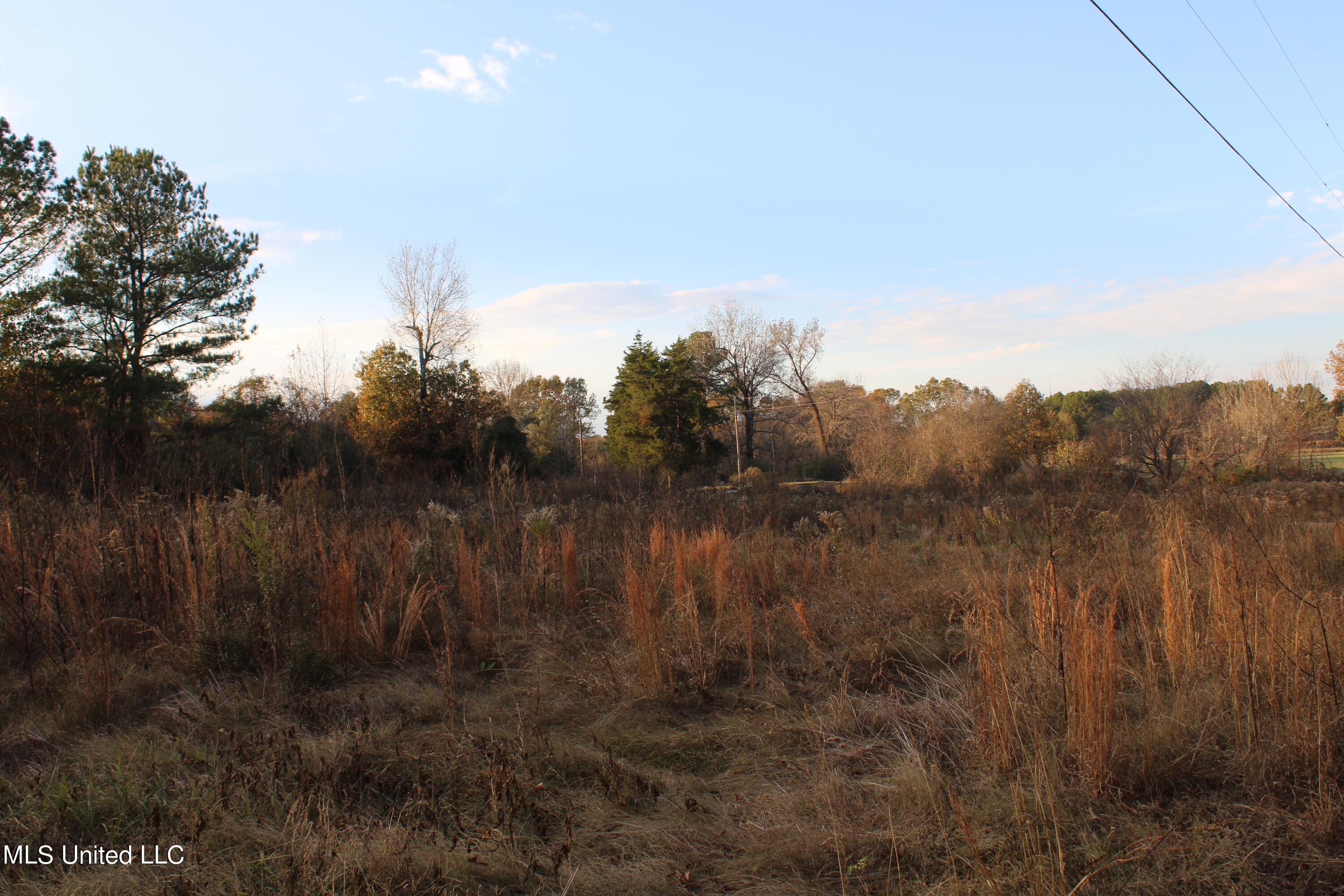6 Levi Bell Road Byhalia, MS 38611 - Photo 1 of 20 land