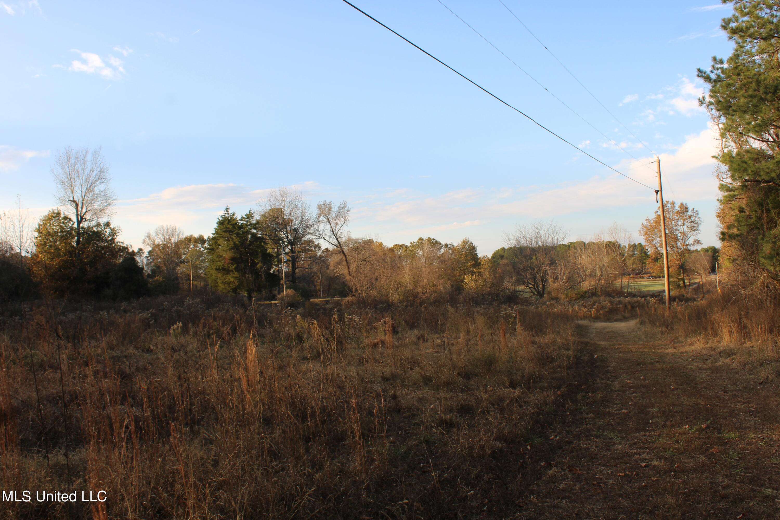 6 Levi Bell Road Byhalia, MS 38611 - Photo 12 of 20 IMG_0427