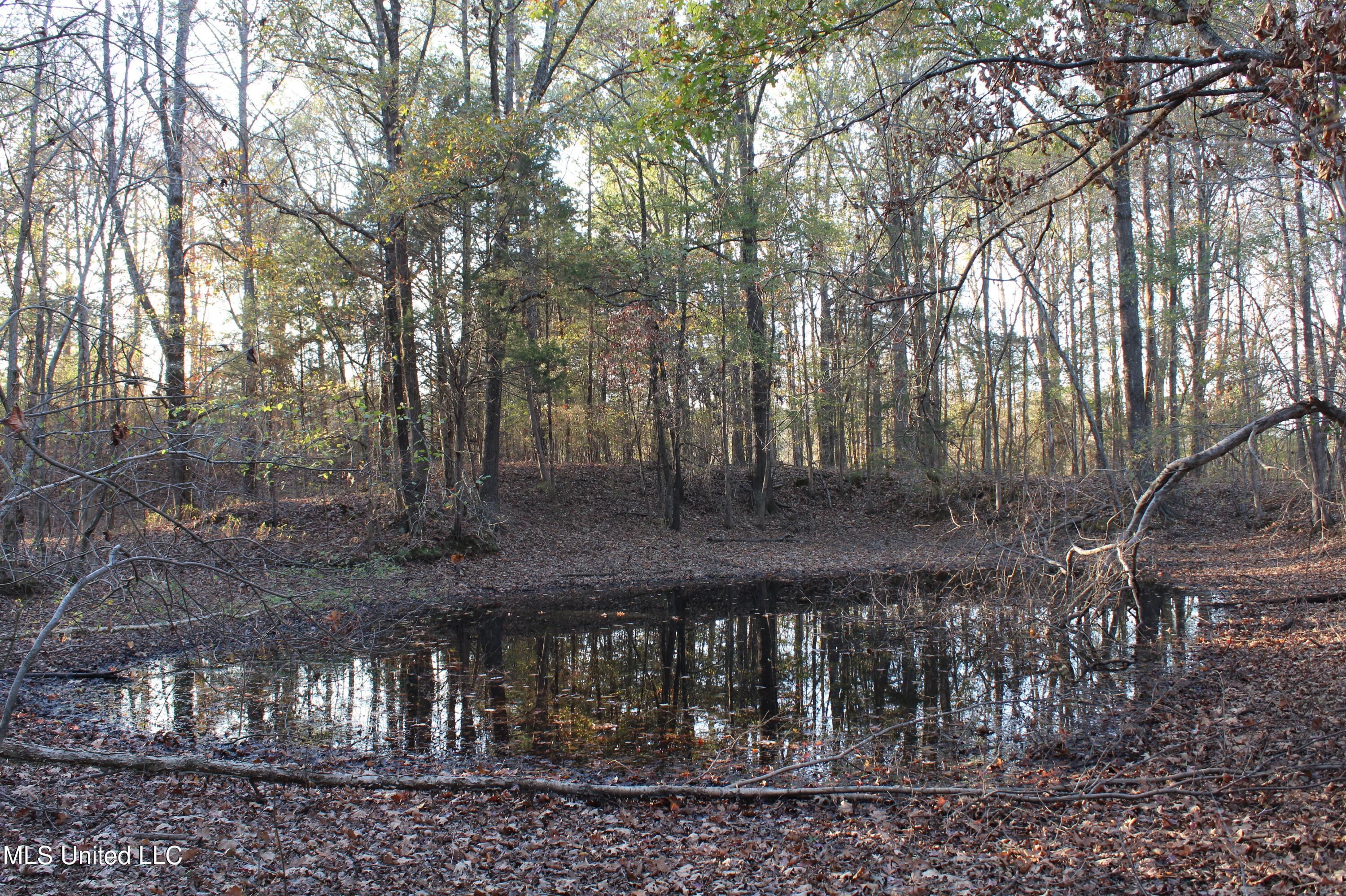 6 Levi Bell Road Byhalia, MS 38611 - Photo 17 of 20 IMG_0421