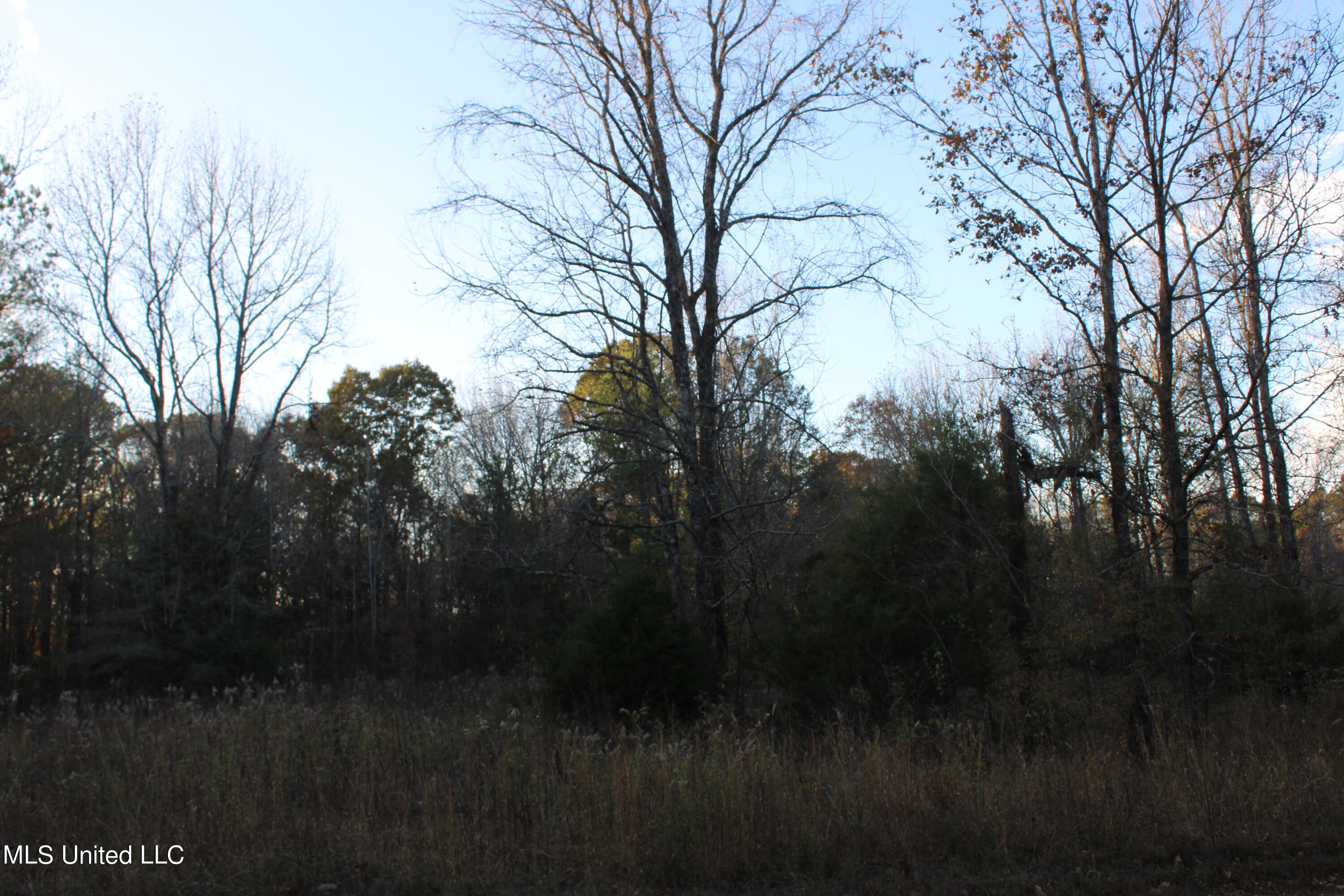 6 Levi Bell Road Byhalia, MS 38611 - Photo 5 of 20 IMG_0414