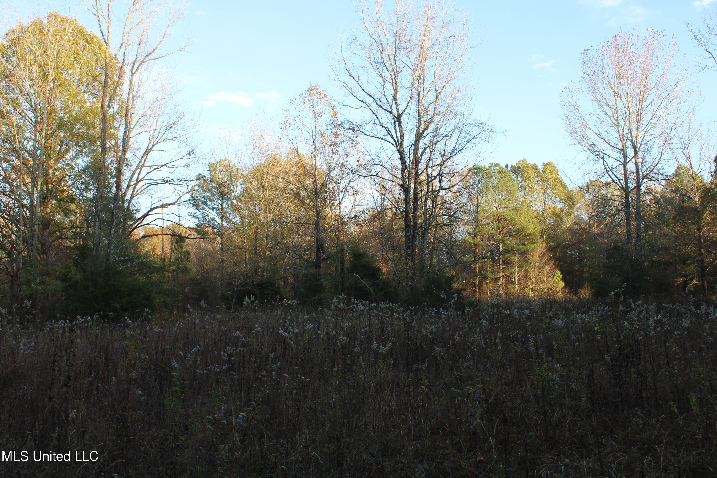 6 Levi Bell Road Byhalia, MS 38611 - Photo 7 of 20 IMG_0417