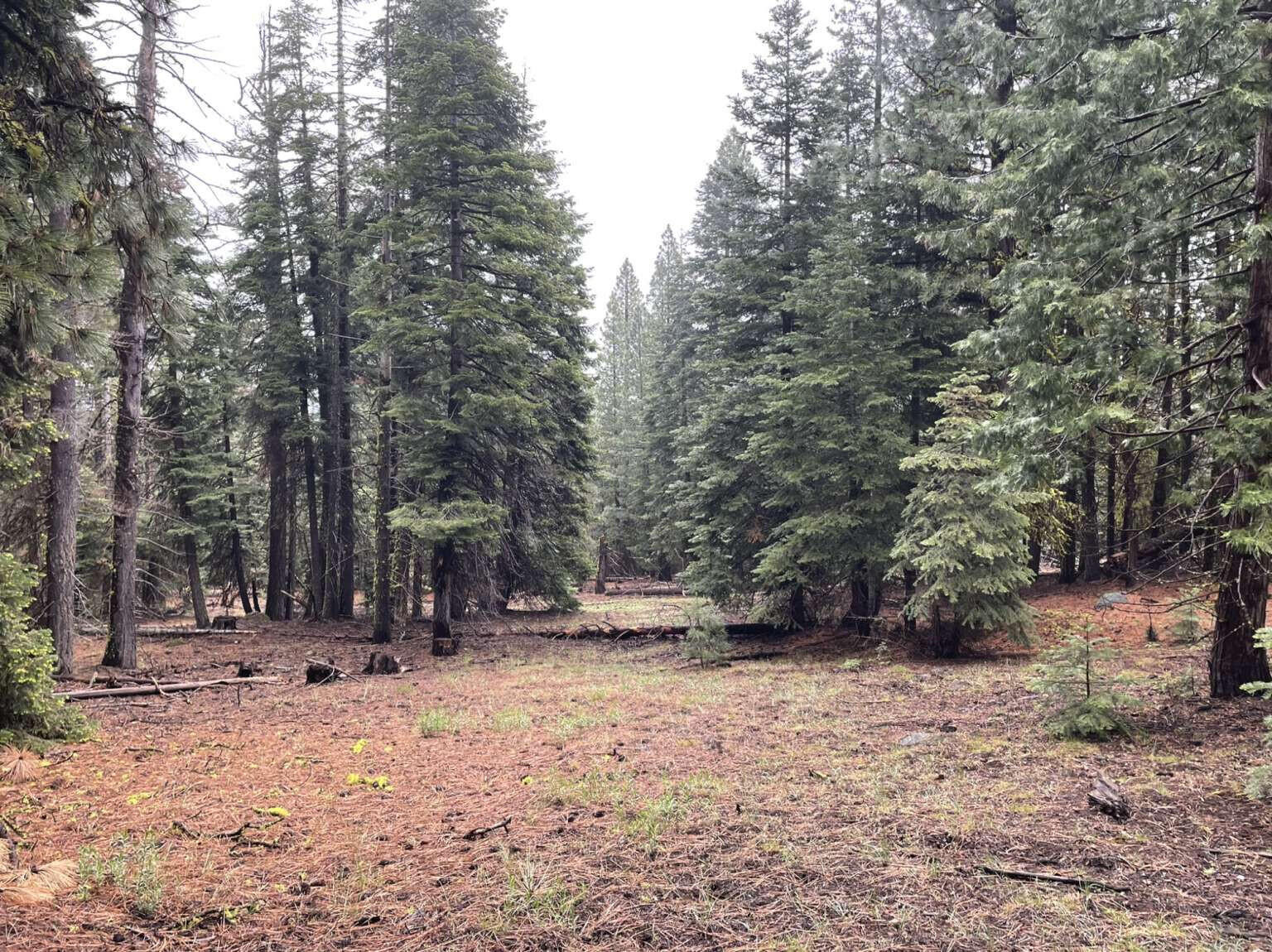 0 Range Road Alturas, CA 96101 - Photo 20 of 39 Hesser.20