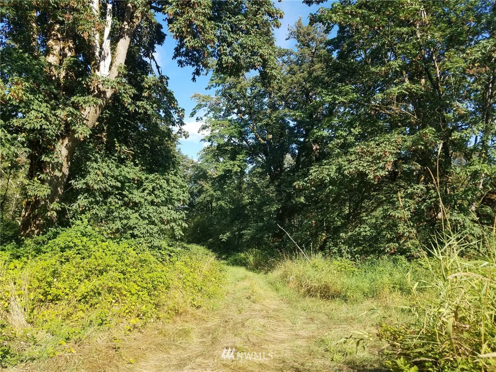 5255 Potter Road Deming, WA 98244 - Photo 2 of 11