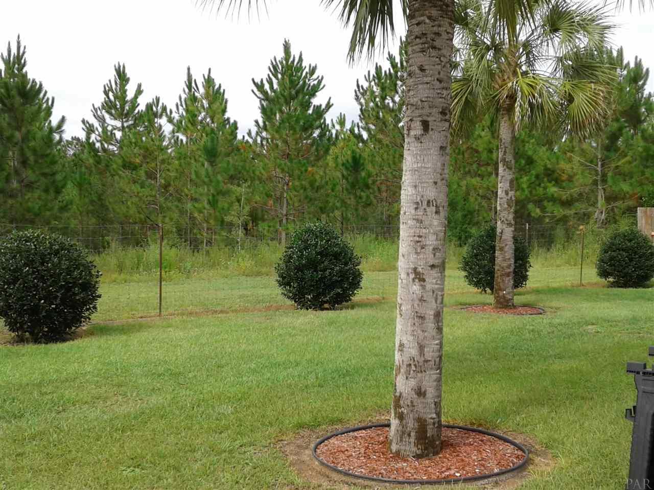 5398 Persimmon Hollow Road Milton, FL 32583 - Photo 12 of 37 Gallery Image 12