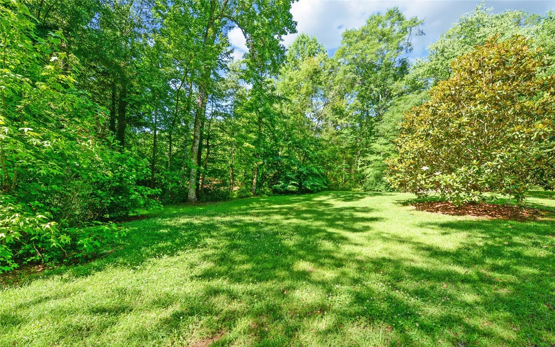 45 Deans Point Martin, GA 30557 - Photo 50 of 50 Gallery Image 50