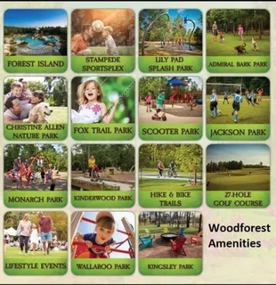 $600,000 | 256 Conifer Cliff Drive, Montgomery, TX 77316