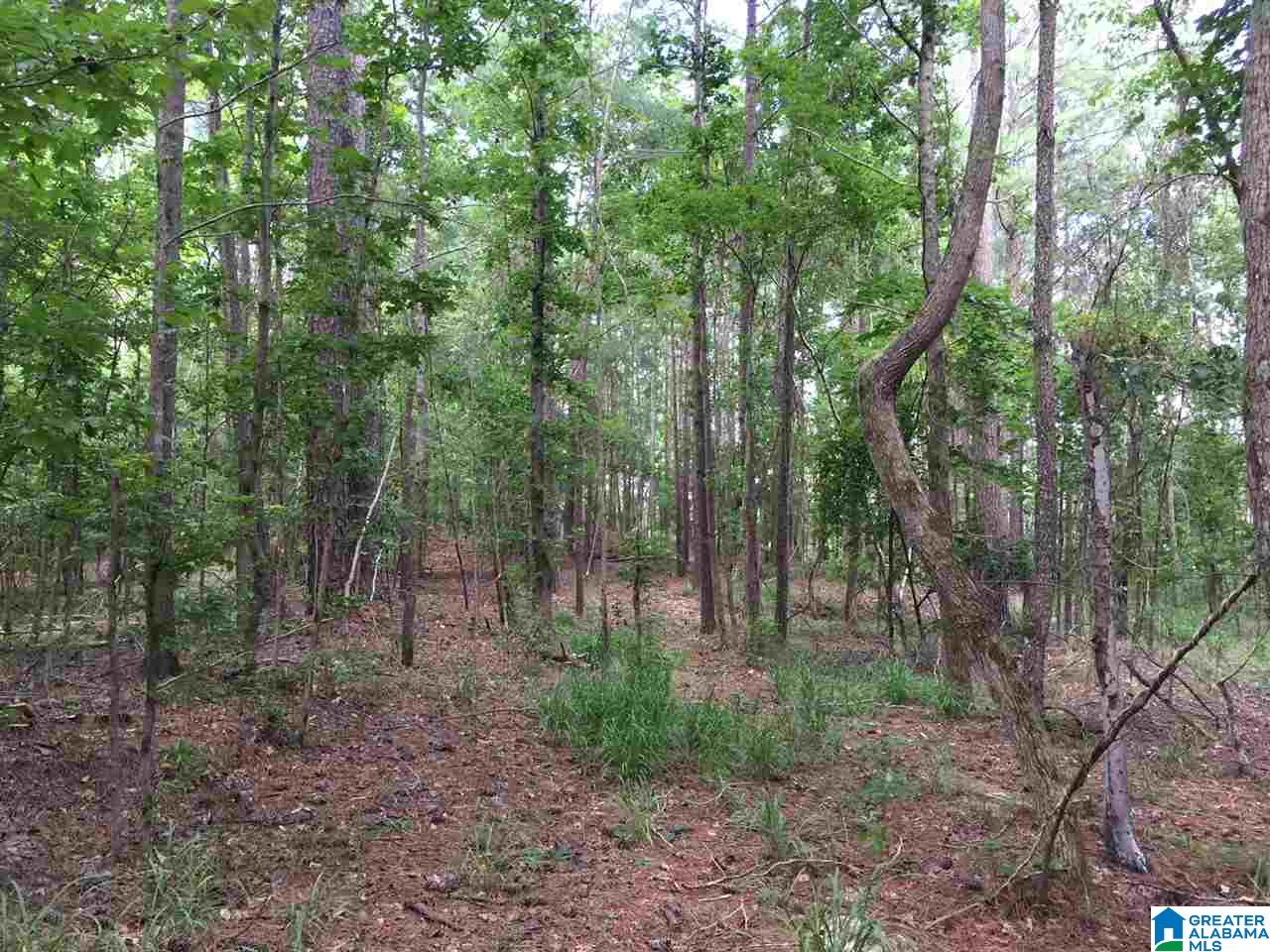 2364 Grants Mill Road Birmingham, AL 35210 - Photo 11 of 17